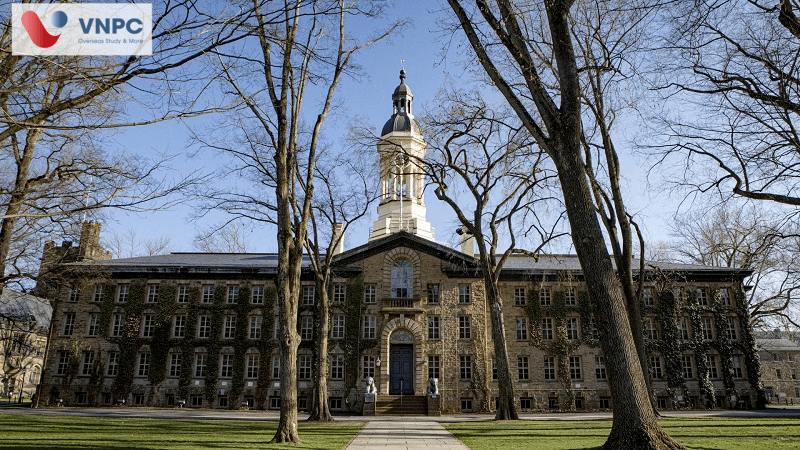 Princeton University